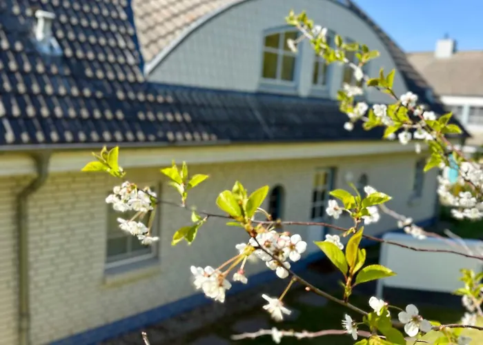 Sellin Maritim Apartment Seedorf (Rugen)